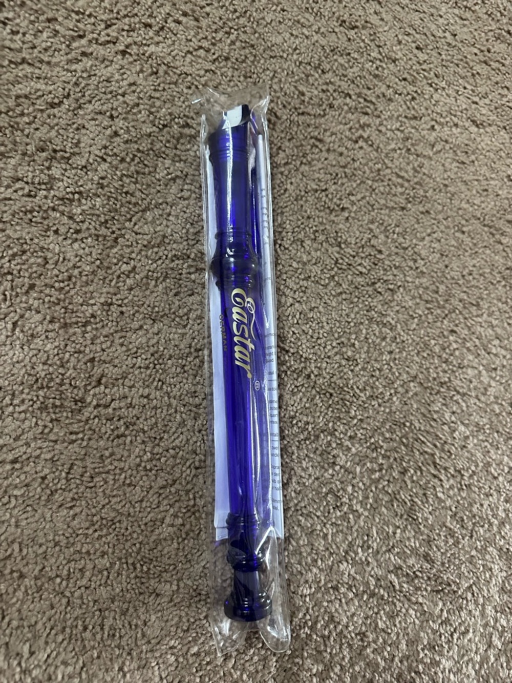NEW Royal Purple Recorder